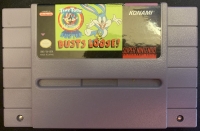 Tiny Toon Adventures: Buster Busts Loose! Box Art