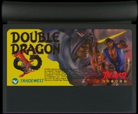 Double Dragon V: The Shadow Falls Box Art