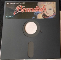 Brandish (PC-9801VM) Box Art