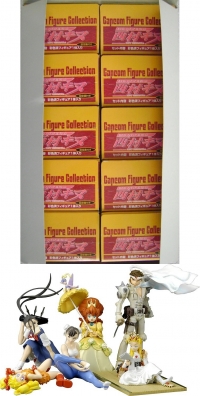 Capcom Figure Collection: Kinu Nishimura Box Art