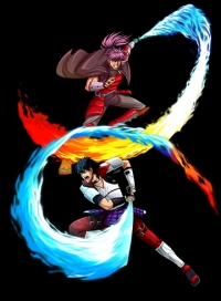 VASARA Collection Box Art