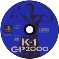 Fighting Illusion: K-1 GP 2000 Box Art