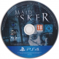 Maid of Sker Box Art