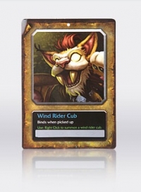 World of Warcraft - Wind Rider Cub Plush Box Art