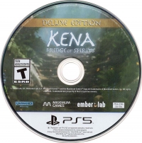Kena: Bridge of Spirits - Deluxe Edition Box Art