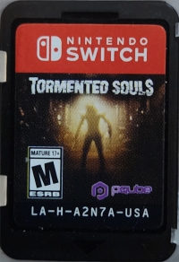 Tormented Souls Box Art