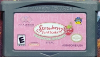 Strawberry Shortcake: Summertime Adventure - Special Edition Box Art