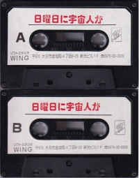 Nichiyoubi ni Uchuujin ga...? Box Art