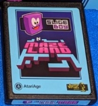 Slide Boy in Maze Land Box Art