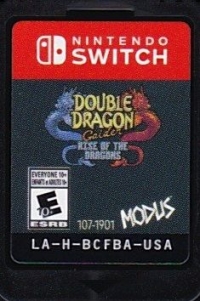 Double Dragon Gaiden: Rise of the Dragons Box Art