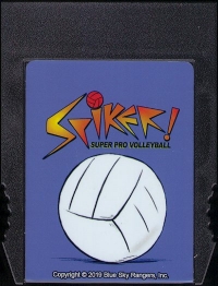 Spiker! Super Pro Volleyball (Blue Sky Rangers) Box Art