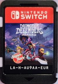 Dungeon Defenders: Awakened Box Art