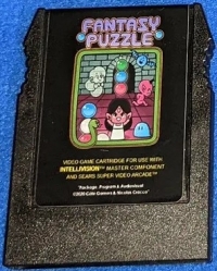 Fantasy Puzzle Box Art