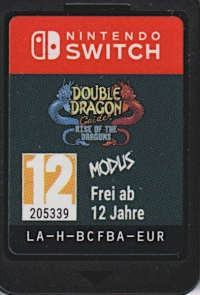 Double Dragon Gaiden: Rise of the Dragons [AT][CH][DE] Box Art