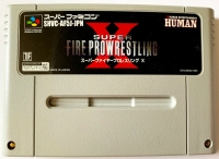 Super Fire Pro Wrestling X Box Art