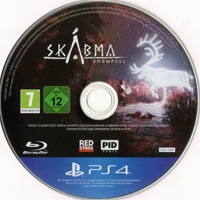 Skabma: Snowfall Box Art