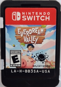 Everdream Valley Box Art