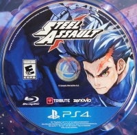 Steel Assault Box Art