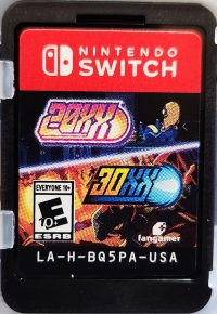 20XX/30XX Box Art