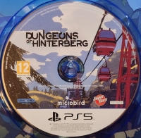 Dungeons of Hinterberg Box Art