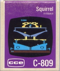 Squirrel Box Art