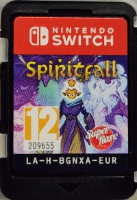 Spiritfall Box Art
