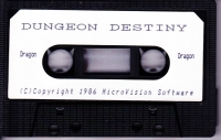 Dungeon Destiny Box Art