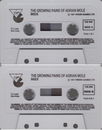 Growing Pains of Adrian Mole, The Box Art