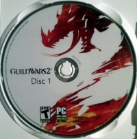 Guild Wars 2 Box Art