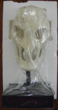 Splatterhouse Terror Mask (Pre-Order Item) Box Art