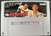 Zen-Nippon Pro Wrestling Box Art