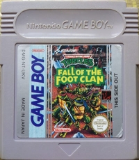 Teenage Mutant Hero Turtles: Fall of the Foot Clan Box Art