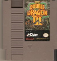 Double Dragon III: The Sacred Stones Box Art