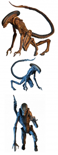 Alien 3 - Dog Alien (Classic Video Game Appearance) Box Art