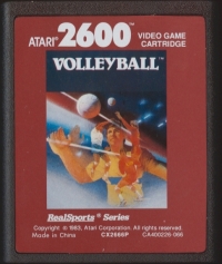 Realsports Volleyball Box Art