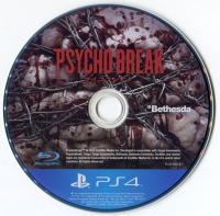 Psycho Break Box Art