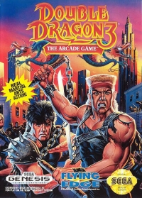 Double Dragon 3: The Arcade Game Box Art