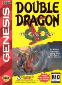 Double Dragon V: The Shadow Falls Box Art
