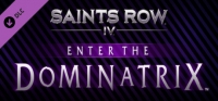 Saints Row IV: Enter The Dominatrix Box Art