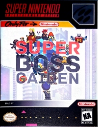 Super Boss Gaiden Box Art