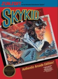 Sky Kid (3 screw cartridge) Box Art
