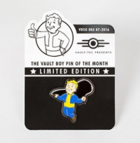 Fallout Vault Boy Pin of the Month - Endurance Box Art