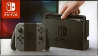 Nintendo Switch (Gray / Gray) Box Art