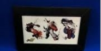 Street Fighter IV Blockbuster picture frame Box Art