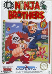 Little Ninja Brothers Box Art