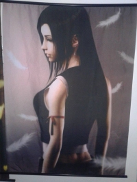 Tifa LockHart Wall Scroll with Feathers and colored background. Box Art