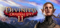 Divinity: Original Sin 2 Box Art