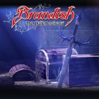 Brandish: The Dark Revenant Box Art