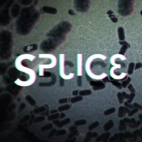 Splice Box Art