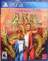 Double Dragon IV (orange cover) Box Art